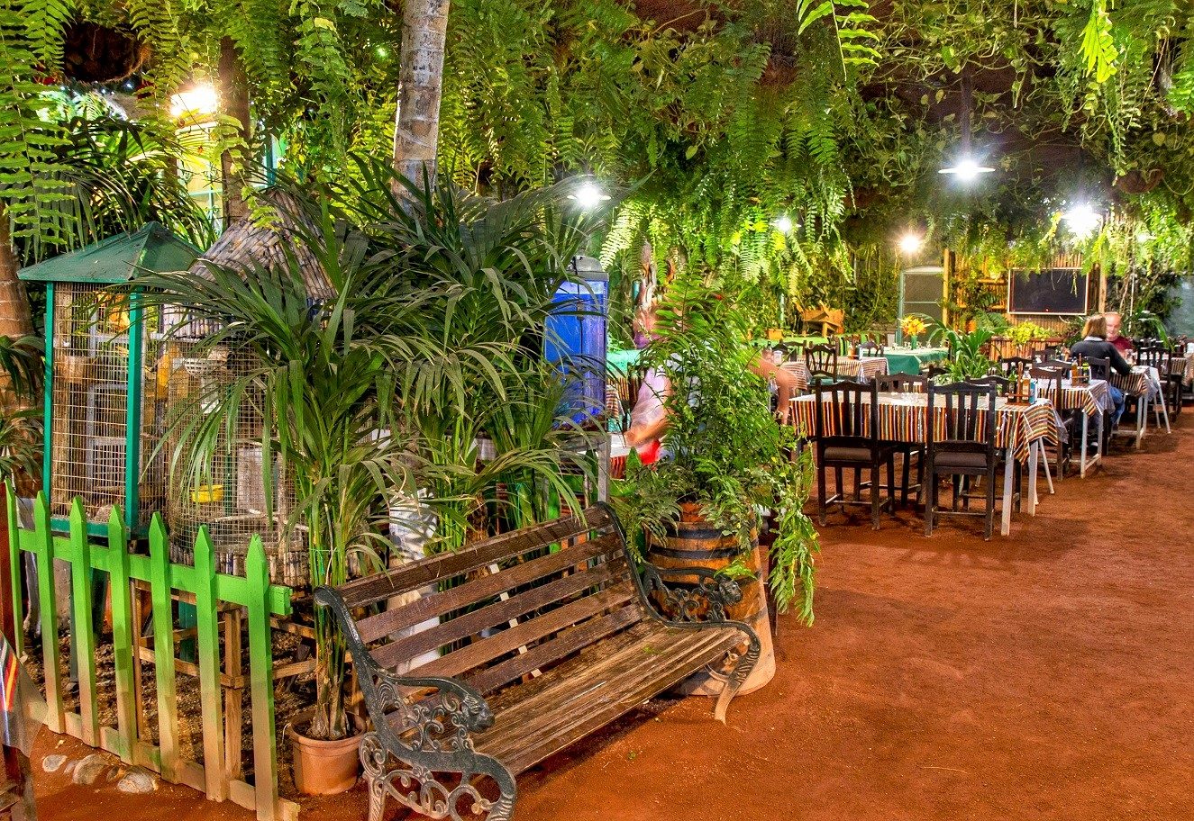 Espacio Taburiente decorado con enredaderas y plantas
